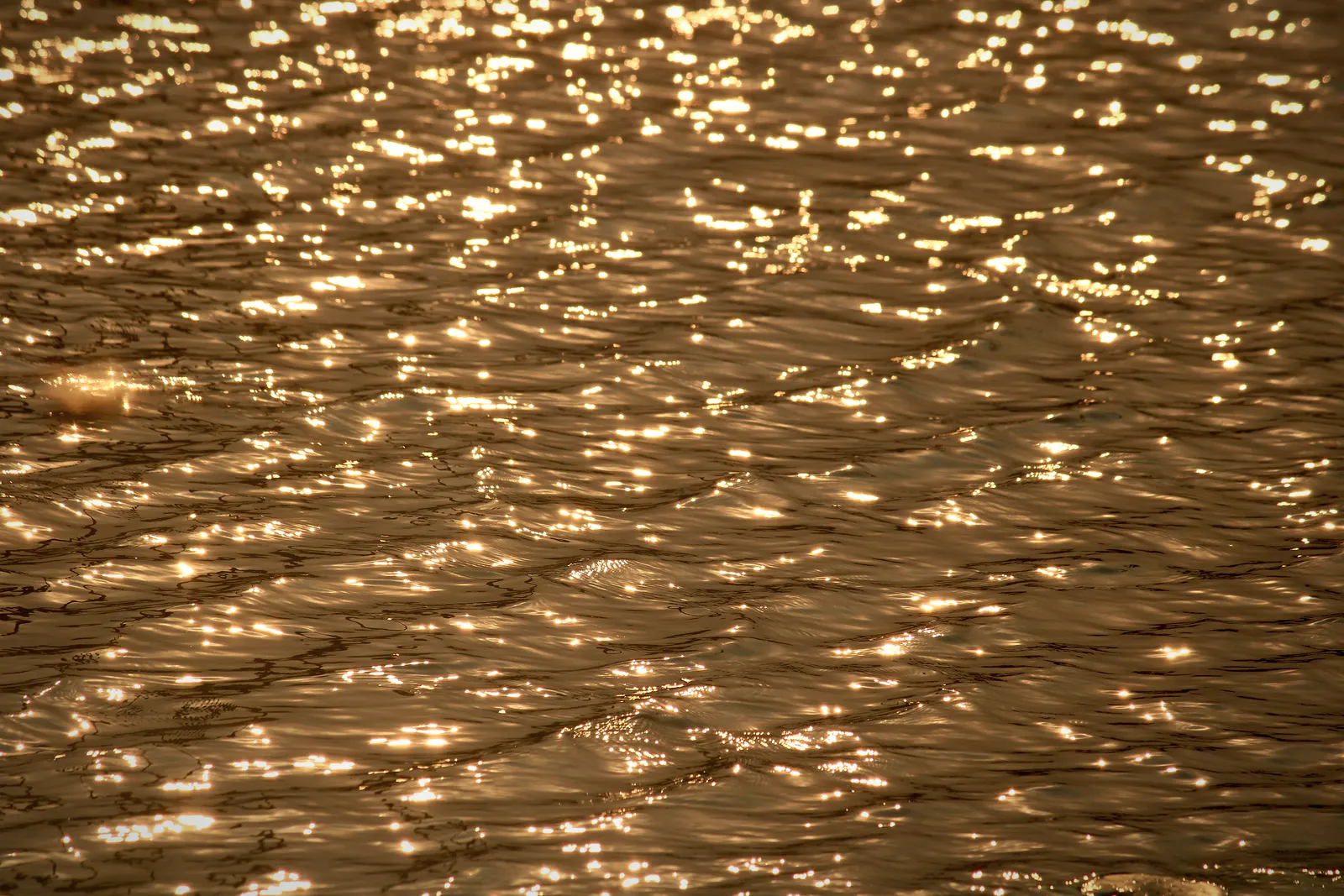 Gold light reflected on dark water